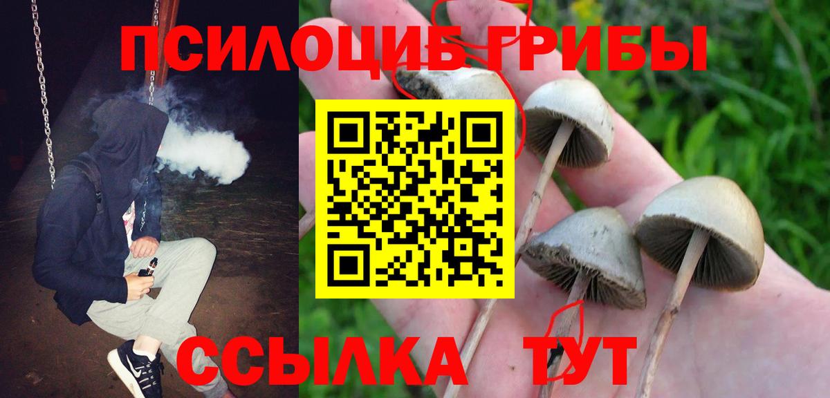 Галлюциногенные грибы ЛСД  Галлюциногенные грибы мухоморы  Вход с VPN  Тамбов 